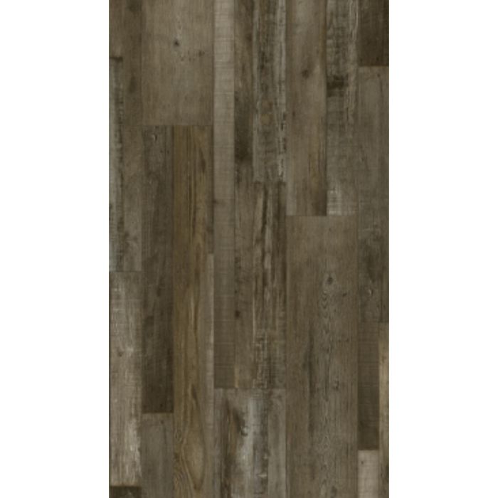 Petrified Forest Lite