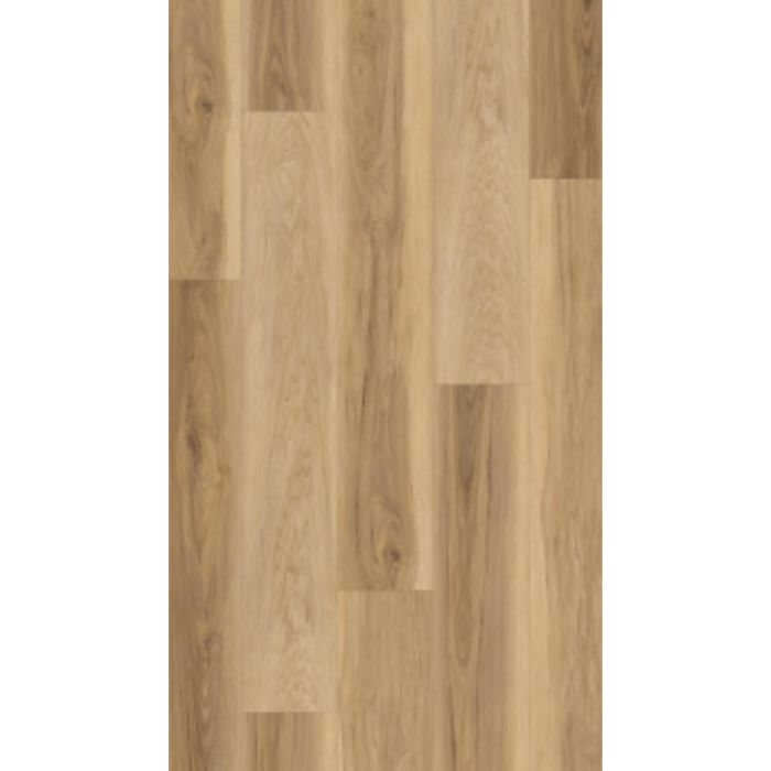Carolina Hickory