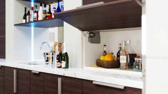 Tempo Dark Wilderness